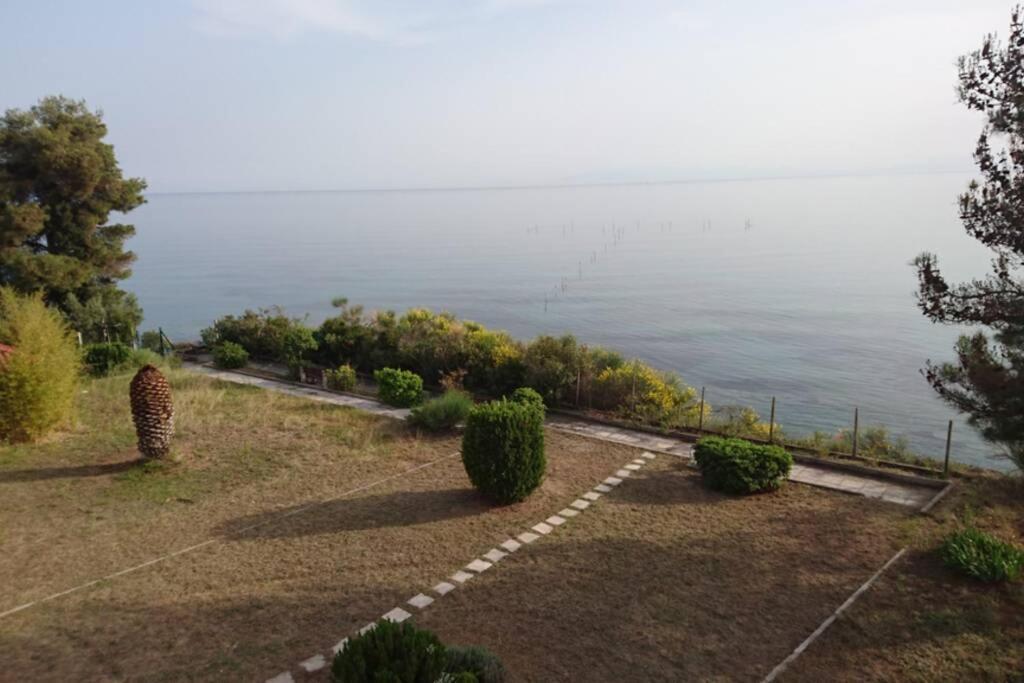 Appartamento Sunshine House Offering Spectacular Views To Olymp A Nea Iraklia Esterno foto