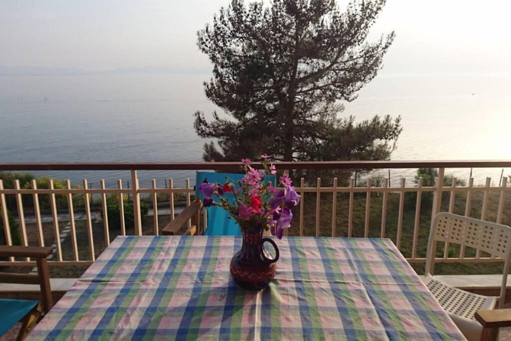 Appartamento Sunshine House Offering Spectacular Views To Olymp A Nea Iraklia Esterno foto