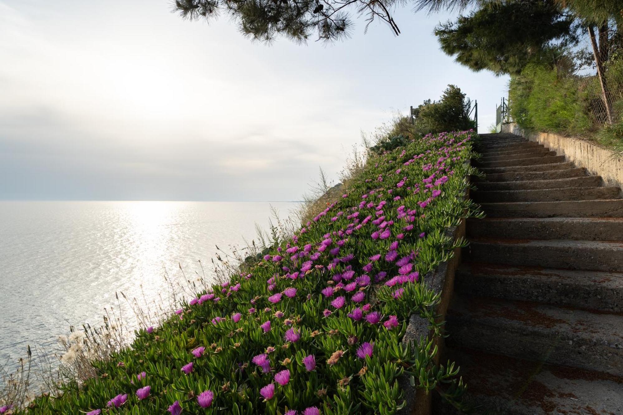 Appartamento Sunshine House Offering Spectacular Views To Olymp A Nea Iraklia Esterno foto