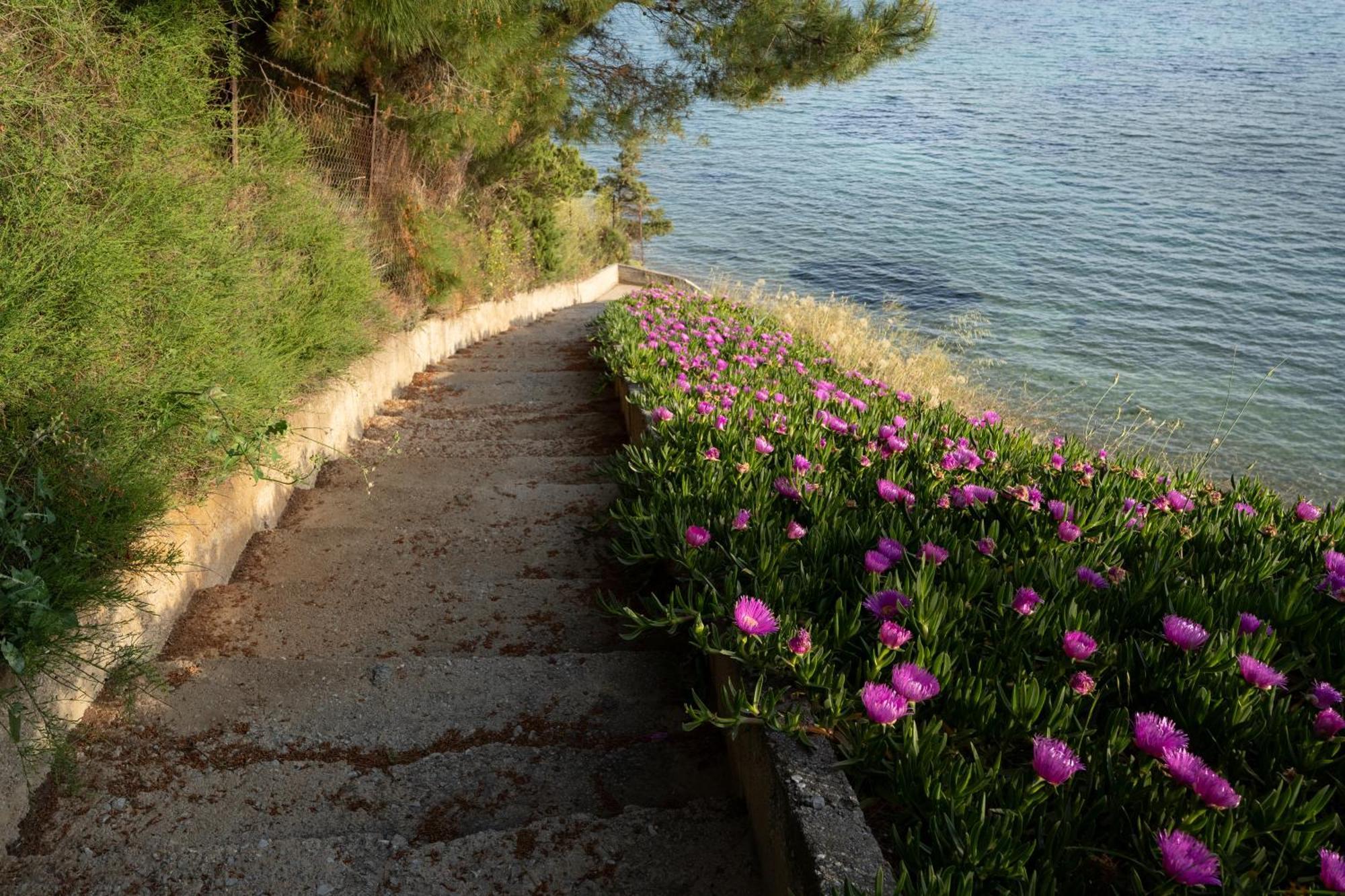 Appartamento Sunshine House Offering Spectacular Views To Olymp A Nea Iraklia Esterno foto